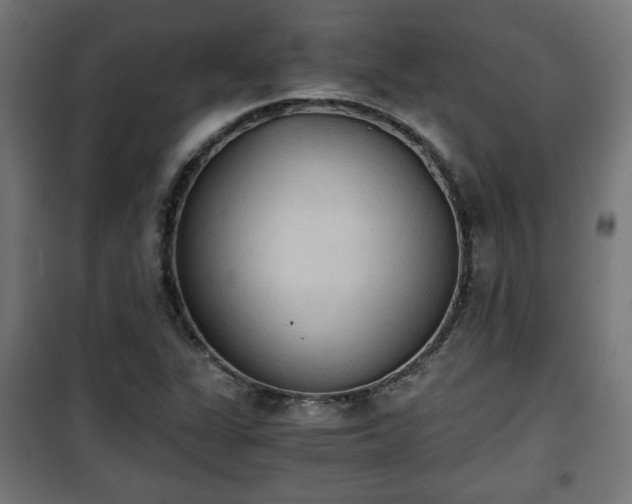 X0000101391311200807141123