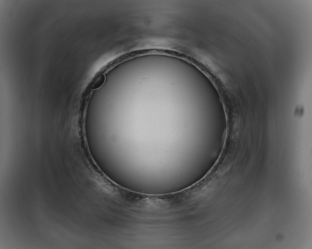 X0000101391312200807141123