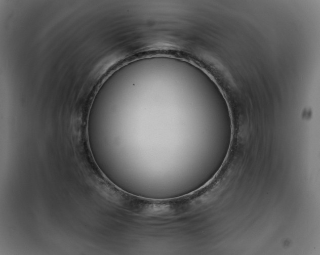 X0000101391313200807141123