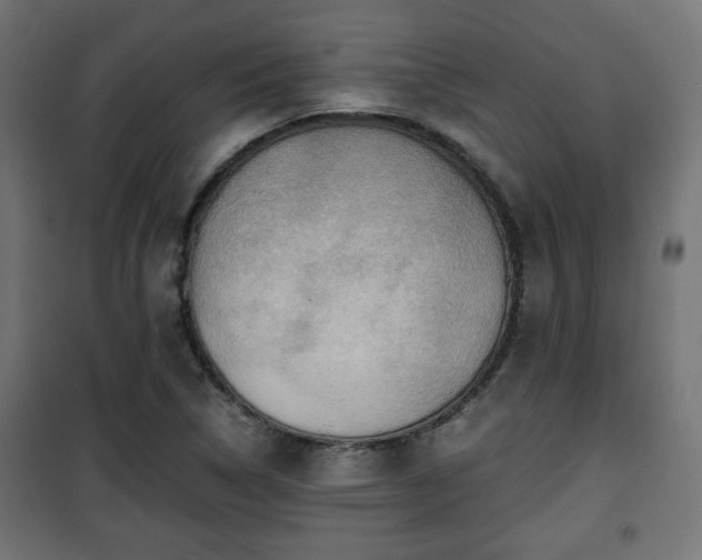 X0000101391314200807141123