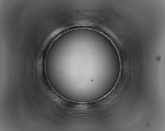 X0000101391315200807141123