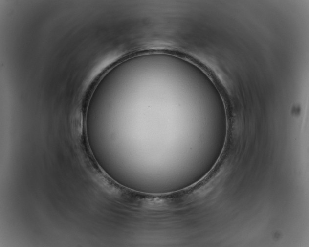 X0000101391317200807141123