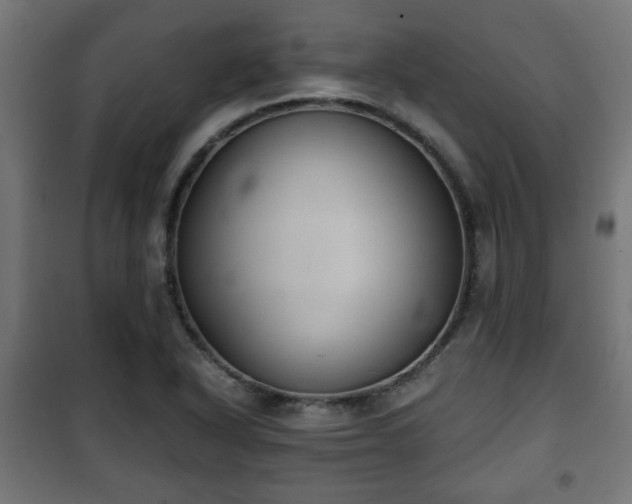 X0000101391318200807141123