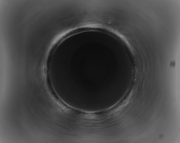 X0000101391319200807141123