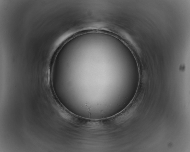 X0000101391320200807141123