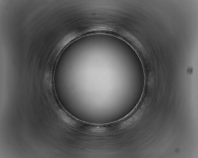 X0000101391321200807141123