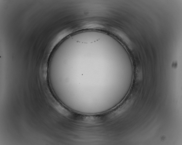 X0000101391322200807141123