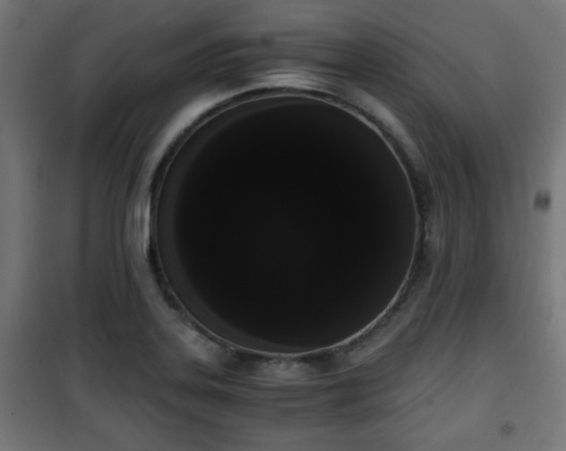 X0000101391323200807141123