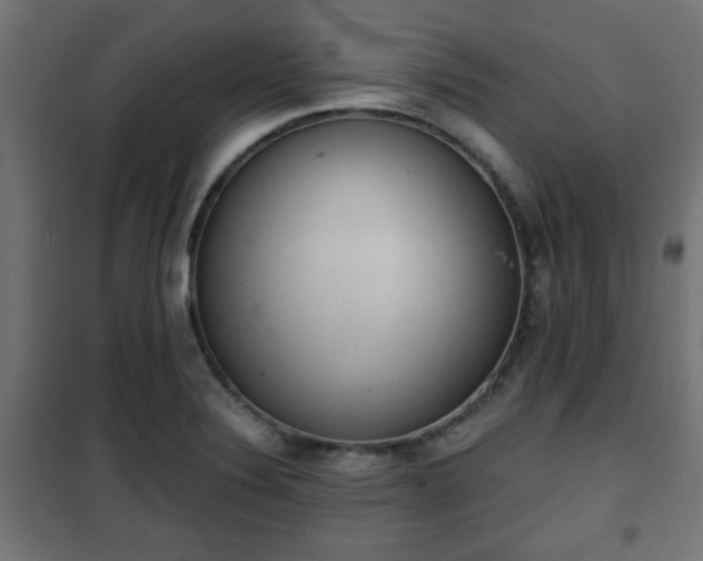 X0000101391324200807141123