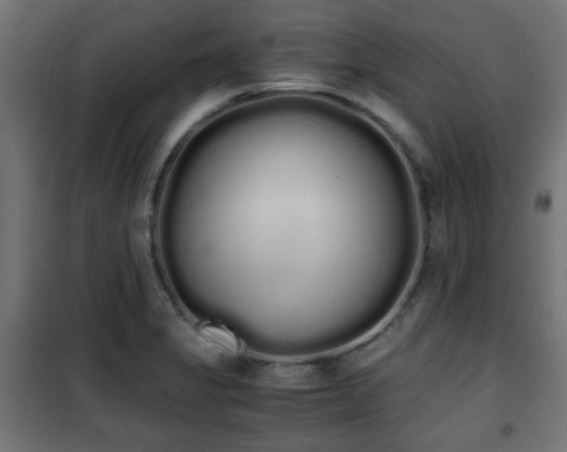 X0000101391325200807141123