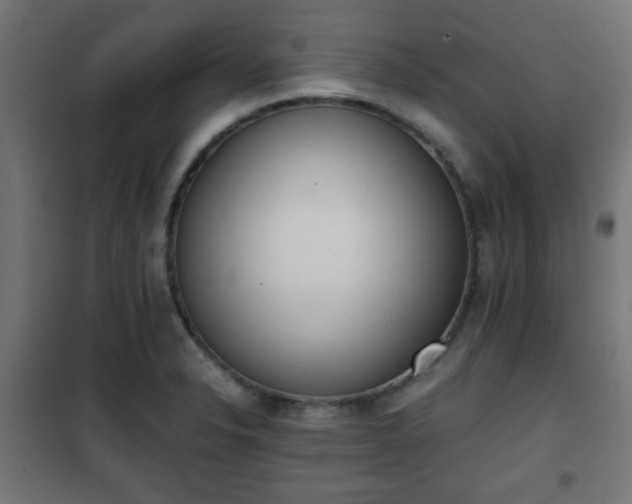 X0000101391326200807141123