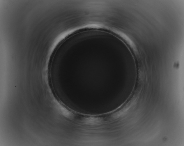 X0000101391327200807141123