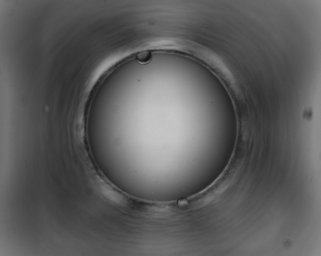 X0000101391328200807141123