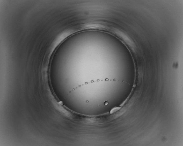 X0000101391330200807141124