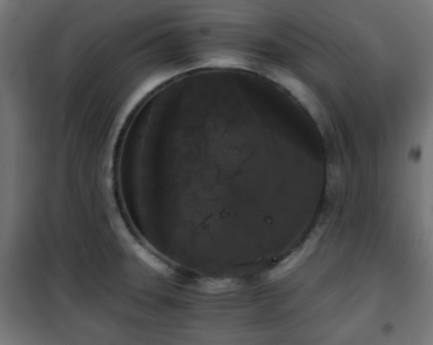 X0000101391331200807141124