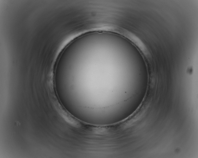 X0000101391332200807141124