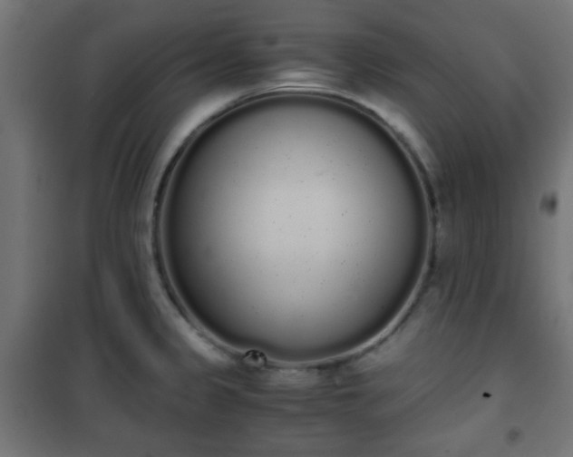 X0000101391333200807141124