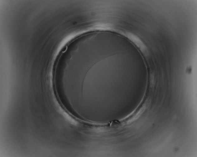 X0000101391334200807141124