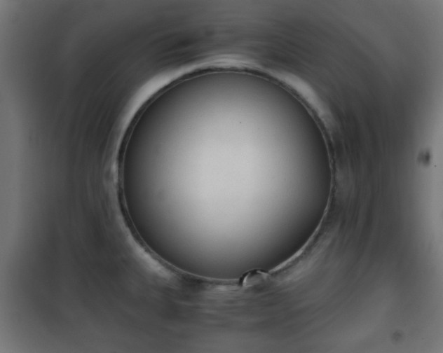 X0000101391335200807141124