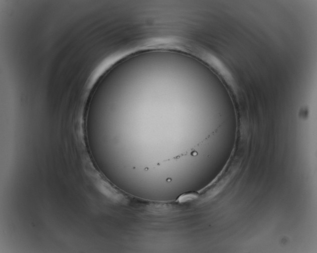 X0000101391336200807141124