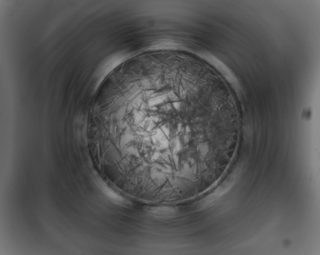 X0000101391337200807141124
