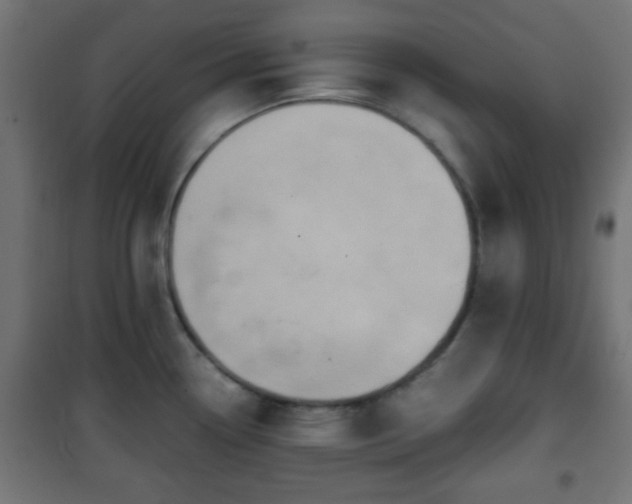 X0000101391338200807141124