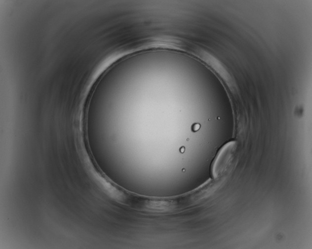 X0000101391339200807141124