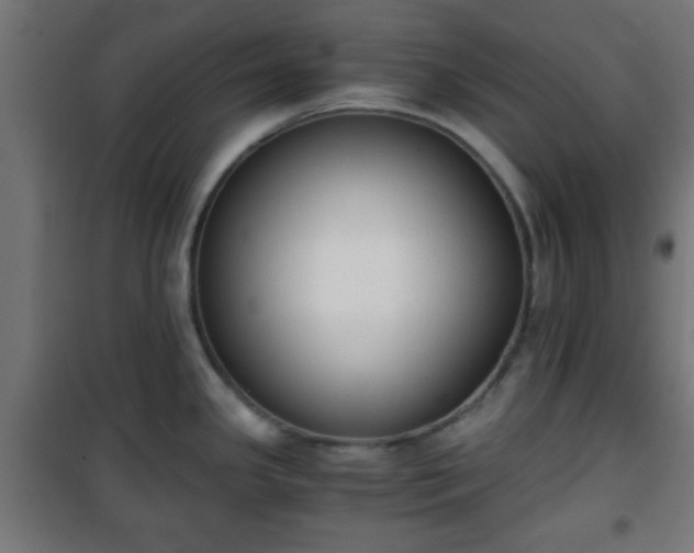 X0000101391341200807141124