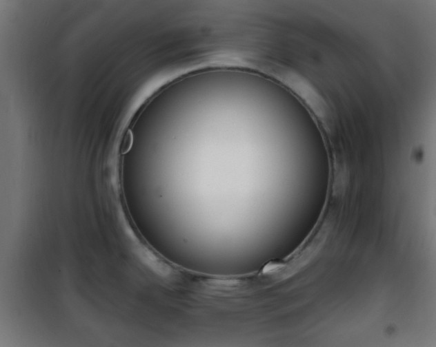 X0000101391342200807141124