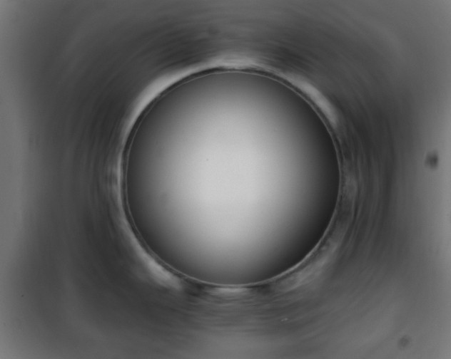 X0000101391343200807141124