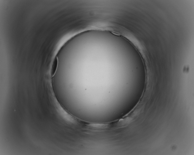 X0000101391344200807141124