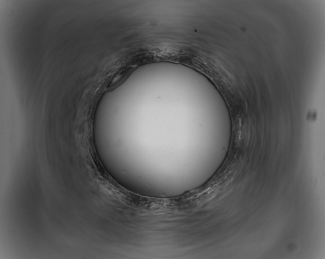 X0000101391345200807141123