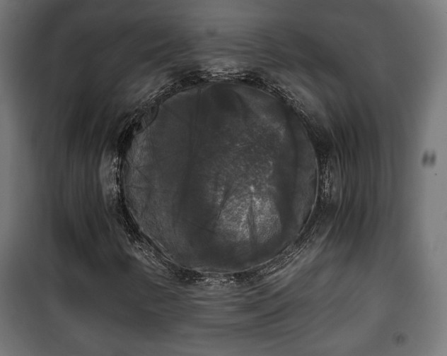 X0000101391346200807141123