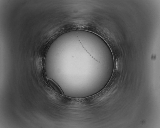 X0000101391347200807141123