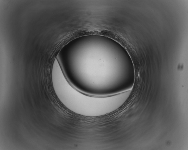 X0000101391348200807141123