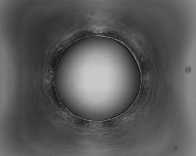 X0000101391349200807141123