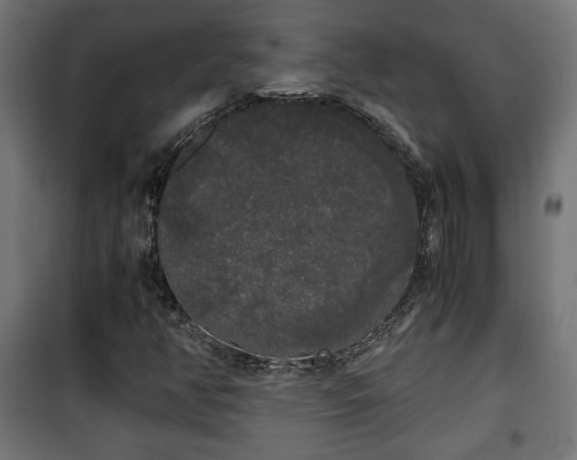 X0000101391350200807141123