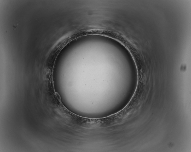 X0000101391351200807141123