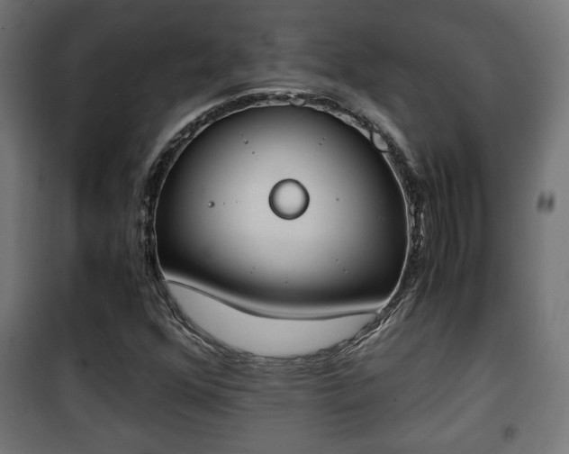 X0000101391352200807141123