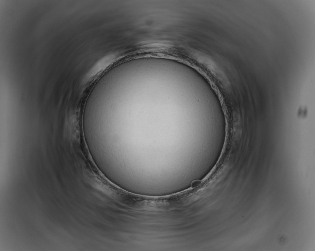 X0000101391354200807141123