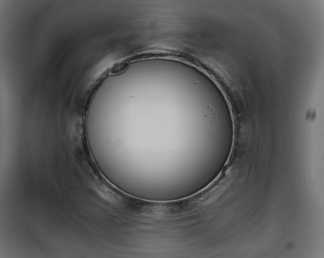 X0000101391355200807141123