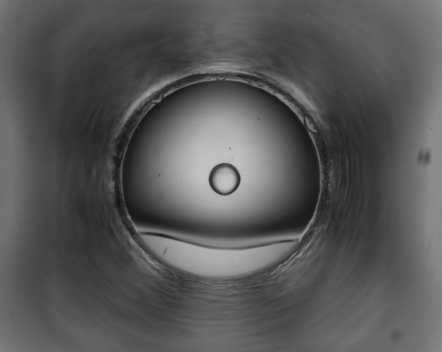 X0000101391356200807141123