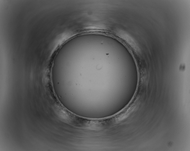 X0000101391357200807141123