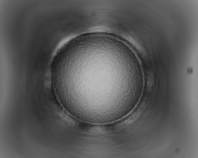 X0000101391358200807141123