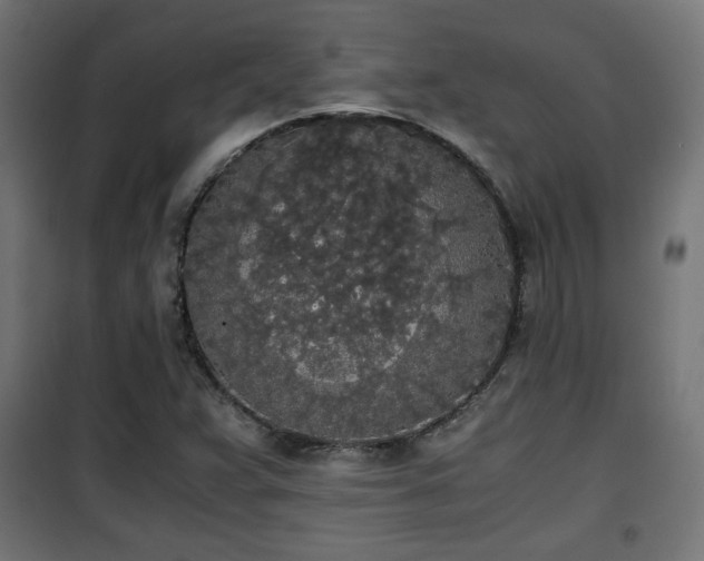 X0000101391359200807141123