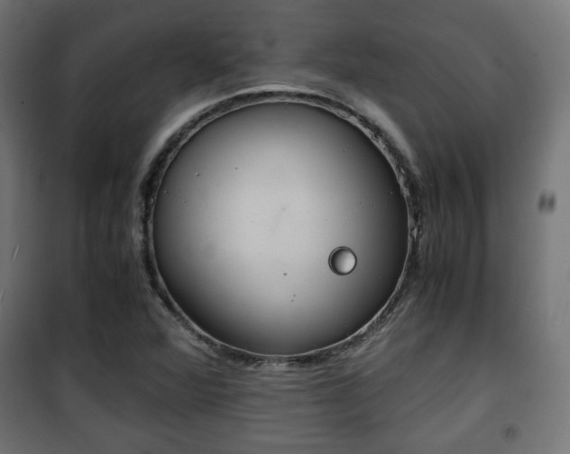 X0000101391360200807141123