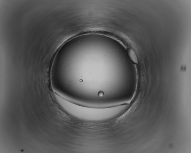 X0000101391361200807141123