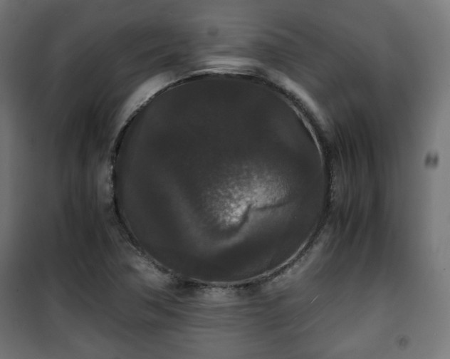 X0000101391362200807141123