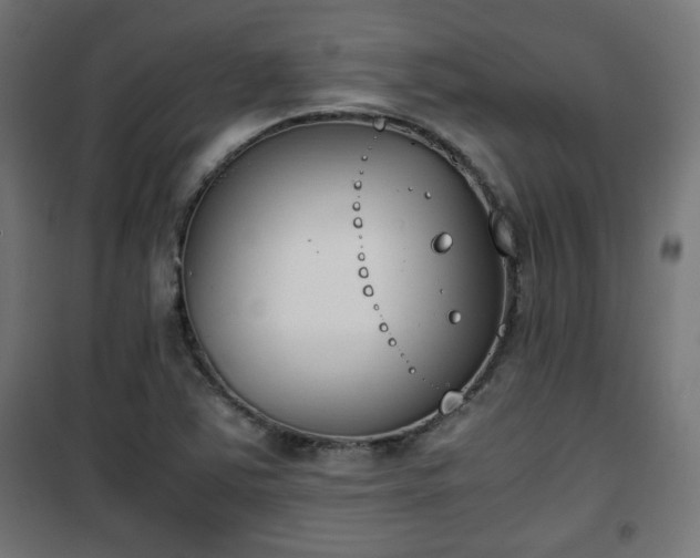 X0000101391363200807141123