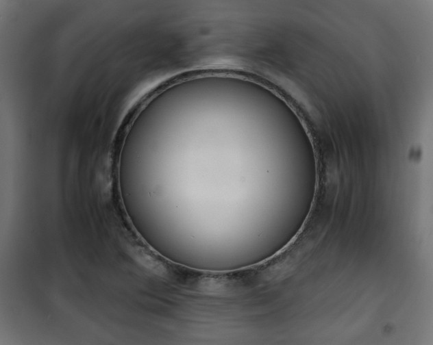 X0000101391364200807141123